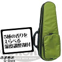 【18日までポイントUP】【湿度調整剤付】ORCAS テナーウクレレ用セミハードケース OULC-3/AGR アップルグリーン ウクレレ用ライトケース オルカス