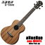 【GW限定ポイント10倍！】aNueNue コンサートウクレレ aNN-MKN2E ピックアップ付 Makani II CONCERT UKULELE アヌエヌエ マカニ