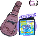 【防錆効果も！湿度調整剤付】GID アコギ用ケース シャンパンピンク GLGT-D CPK＋ドライコンディションチャージ