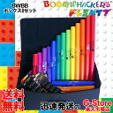 【4日20時からポイント10倍】ドレミパイプ BWBB ボックスBセット Boomwhackers ブームワッカー テレビ番組でも取り上げられた叩いて音を出す楽器 小さなお子様から幅広く楽しんでいただけます！