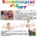 【9日20時からポイント10倍】ドレミパイプ BWBK キッズボックスセット 音楽教育・情操教育に最適な充実のセット Boomwhackers ブームワッカー 2
