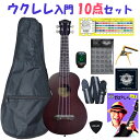 【21日から26日までポイント8倍!】数量限定!特別価格 ソプラノウクレレ 最強初心者10点セット AQUAlele ソプラノウクレレ AQ-1