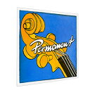 【20時から27日までポイント8倍】PIRASTRO パーマネント コントラバス弦 A線 3/4 ROPE CORE/CHROME STEEL D-BASS PERMANENT 3433 A/B3