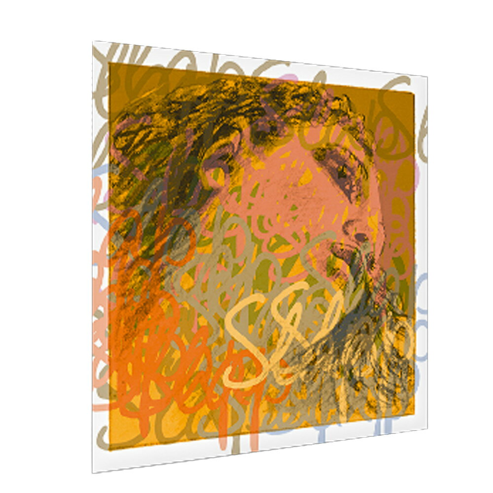 PIRASTRO エヴァピラッツィ スラップ コントラバス弦 G線 3/4 SYNTHTIC/ALUMINIUM D-BASS EVAH PIRAZZI SLAP 4451 G