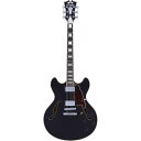 【マラソン限定ポイントUP】D'Angelico ギター Premier DC Black Flake(2)
