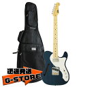 FUJIGEN エレキギター Neo Classic NT NTE110MMHT-TBL/01