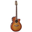 【20時から27日までポイント8倍】Takamine タカミネ エレクトリックアコースティックギター 100 Series DMP161C TB