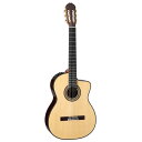 【スーパーSALE限定ポイントUP】Takamine タカミネ エレクトリックアコースティックギター 300 Series DMP370NC N