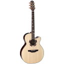 【ポイント5倍!14日午前まで!】Takamine タカミネ エレクトリックアコースティックギター ワールド・スタンダード Series DSF48C