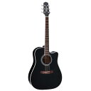 【ポイント5倍!14日午前まで!】Takamine タカミネ エレクトリックアコースティックギター ワールド・スタンダード Series EF341SC