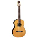 【スーパーSALE限定ポイントUP】Takamine タカミネ エレクトリックアコースティックギター 300 Series PTU340N N