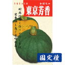 【カボチャの種】 東京芳香栗かぼちゃ 小袋 (12ml) 固定種 種子 タネ 野菜 南瓜 果菜類 園芸 家庭菜園 畑 種まき