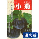 【カボチャの種】 早生小菊南瓜 小袋 (10ml) 固定種 種子 タネ 野菜 かぼちゃ 果菜類 園芸 家庭菜園 畑 種まき