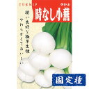 【コカブの種】時なし小蕪 小袋 (8ml) 固定種 種子 タネ 野菜 根菜類 園芸 家庭菜園 プランター栽培 種まき