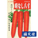 【ニンジンの種】時なし八寸人参 小袋 (4ml) 固定種 種子 タネ 野菜 根菜類 園芸 家庭菜園 種まき