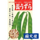 【インゲンの種】 長うずらいんげん 小袋 (30ml) 固定種 つるなし 種子 タネ 野菜 まめ類 園芸 家庭菜園 畑 種まき