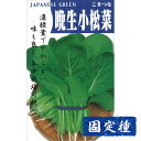 【コマツナの種】 晩生小松菜 小袋 (12ml) 固定種 種子 タネ 野菜 葉菜類 園芸 家庭菜園 プランター栽培 種まき