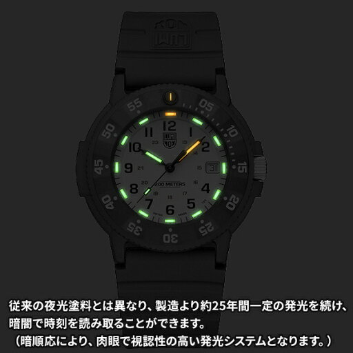【最大100%ポイントバック 当選確率1/2 20日限定】LUMINOX ルミノックス ORIGINAL NAVY SEAL 3000 EVO SERIES オリジナル ネイビーシールズ 3000EVOシリーズ Ref.3007.EVO.S