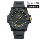 LUMINOX ~mbNX MASTER CARBON SEAL 3800 SERIES Ref.3805.DRAGON LIMITED