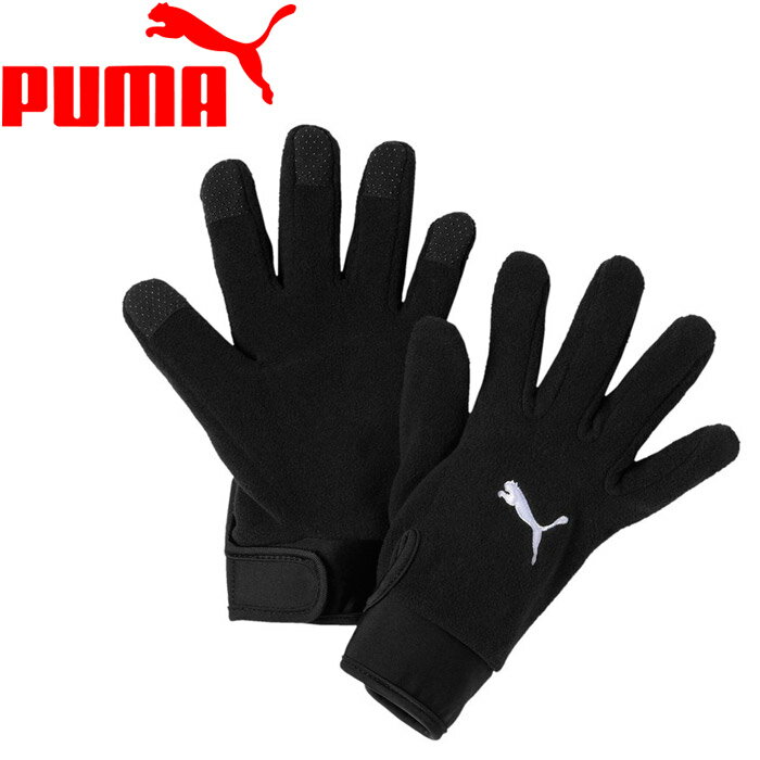 プーマ teamLIGA 21 Winter gloves 041706-01 メンズ