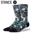 [֑Ή STANCE X^X BIRD CAGE CREW A556B24BIRBLK \bNX C Y fB[X