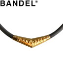 of lbNX Titanium Rubber Necklace Black~Gold