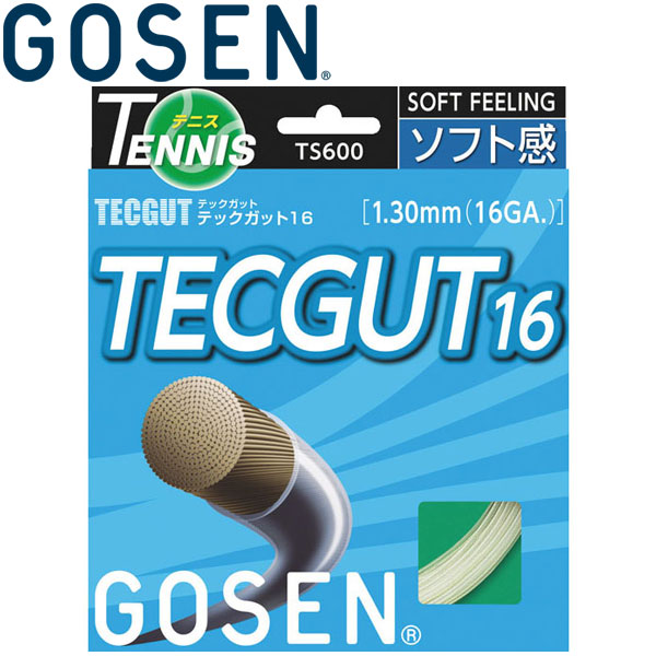 【メール便対応】ゴーセン TECGUT テックガット16 硬式テニスストリングス TS600-10