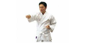 九桜 晒太綾空手衣 上着のみ HYS-R9C3