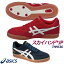 アシックス スカイハンド JP ハンドボールシューズ インドア用 ユニセックス THH536 asics