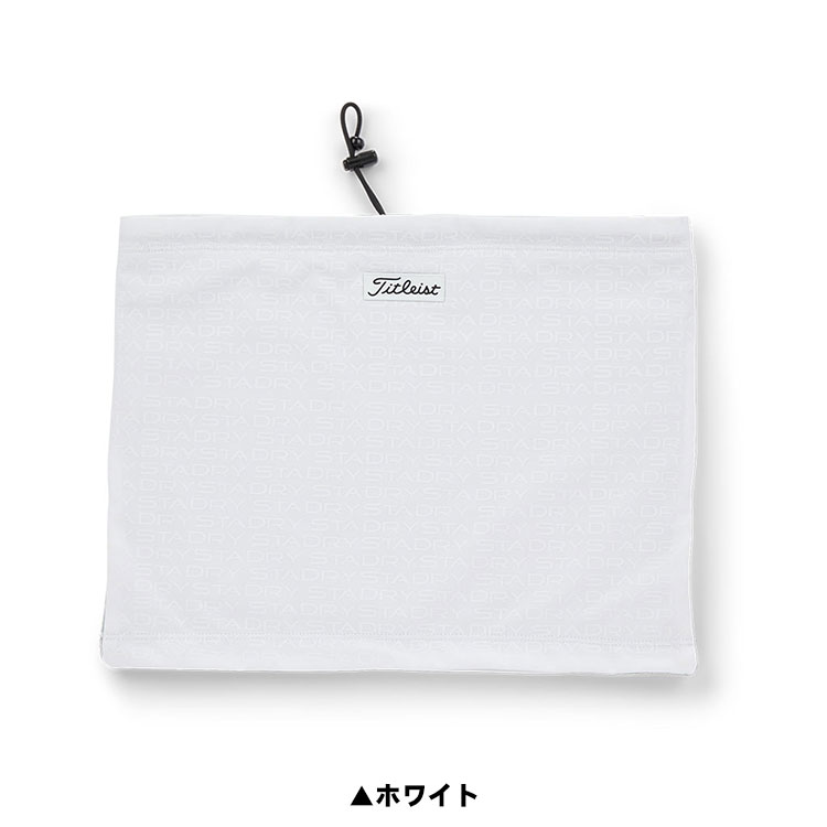 【全品ポイント3倍以上★要エントリー】【メール便対応】タイトリスト ゴルフ ステ...