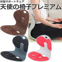 【当店在庫】【あす楽対応】 DCT 天使の椅子 プレミアム 姿勢を正す 姿勢矯正イス 骨盤チェア DCT-1000
