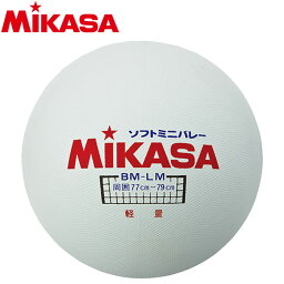 ミカサ ソフトミニバレーボール 円周78cm 軽量 BM-LM 1531190
