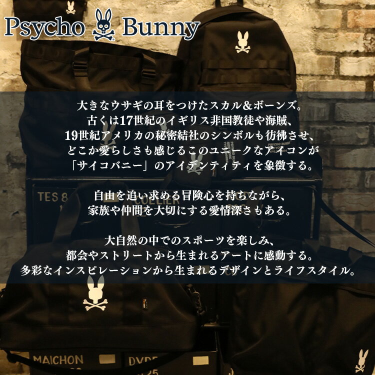 【全品ポイント3倍以上★要エントリー】【当店在庫】【メール便送料無料】サイコバ...