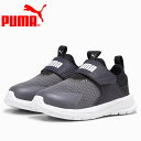 v[} PUMA G{u XbvI Ct@g 389136-06 Ct@gV[Y