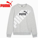 プーマ PUMA POWER グラフィック クルー スウェット 681403-04 ジュニア