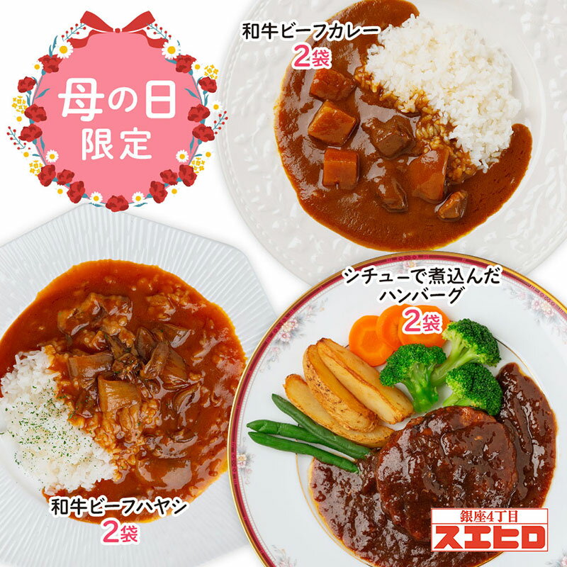 6食セット カレー(2)×ハヤシ(2)×ハンバーグ(2) | 送料無料 | 国産 和...