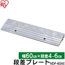 段差プレート 5cm段差 プラ NDP-60AE 幅60cm 段差プレート 段差スロープ スロープ 駐車場 段差解消 車 車庫 玄関 玄関前 庭 転倒防止 バイク 自転車 シニアカー 車いすの乗り上げ バリアフリー ガレージ アイリスオーヤマ