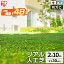 人工芝 ロール 2m×10m 芝丈30mm 国産 アイリスオーヤマ U字釘48本付国産人工芝 人工芝生 芝生 芝生マット 20平米 20平方メートル ベランダ ...