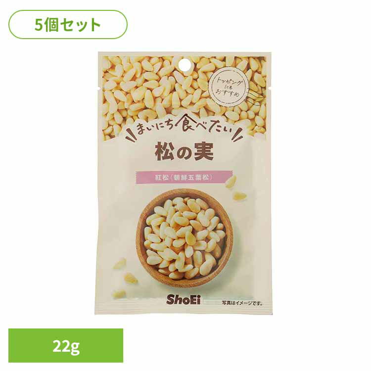 【5個】まいにち食べたい 松の実 松の実 岩塩 国内製造 荘園 正栄食品 Shoei シード まいにち食べたい 焙煎 個包装