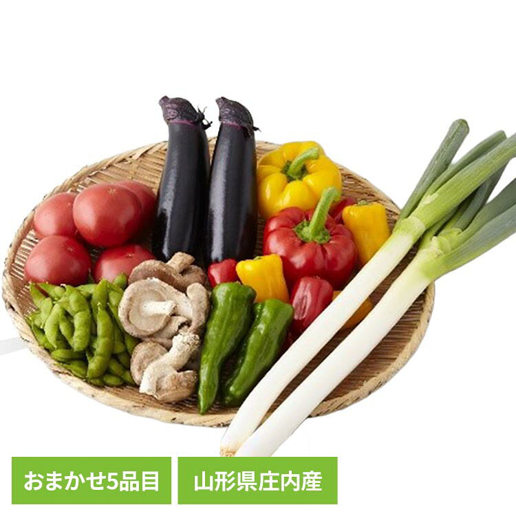 山形県庄内産野菜セット5品目入り 山形県産 庄内産 野菜 詰合せ 旬 産地直送 新鮮 採れたて 季節 送料無料 【TD】 【代引不可】