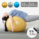 バランスボール 55cm 65cm 宅トレ フィットネス ダイエット 健康器具 宅トレ 体幹トレーニング エクササイズ ストレッチ トレーニング 宅トレ 骨盤 ジムボール