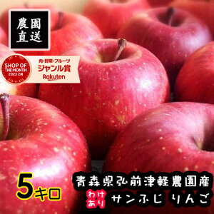 青森県産 りんご サンふじ 弘前ふじ 5kg 13〜20玉 規格外 ご家庭用 ASIAGAP認証農場 津軽農園よりお届け 葉取らず あおもりりんご アップル リンゴ スムージー 腸活