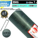 [楽天1位受賞] 1000円クーポン付 ザバーン 350Gグリーン 2m×30m 1本 ＋コ型150mmピン＋GAWドーム型ワッシャー各100本 防草シート 雑草防止 除草 法面 農業 高耐久 緑 350グリーン グリーンフィールド XA-350G2.0 【条件付で個人購入可】法人/事業主/施設限定価格