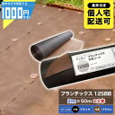 【11/1は当選確率2分の1!最大100%ポイントキャッシュバック】ザバーン プランテックス 125BB 2m×50m 【2本/200平米分】 防草シート デュ...