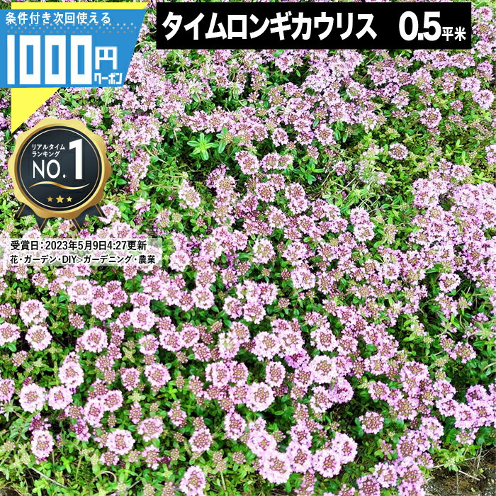 [楽天1位受賞] 1000円クーポン付●マット マットプランツ タイムロンギカウリス 25×25cm 8枚 0.5平米 植物 お花 ハーブ 花マット