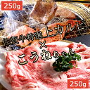 お肉 ギフト すき焼き 焼肉 セット カルビ 特選上カルビ こうね 250g 国産 黒毛和牛A5等級 佐賀牛 こうね コウネ ブリスケ 切り落とし500g 牛肉 しゃぶしゃぶ 鍋 焼肉 焼き肉 鉄板焼 ギフト プレゼント 贈答 バラ 2~4人前 しゃぶしゃぶ