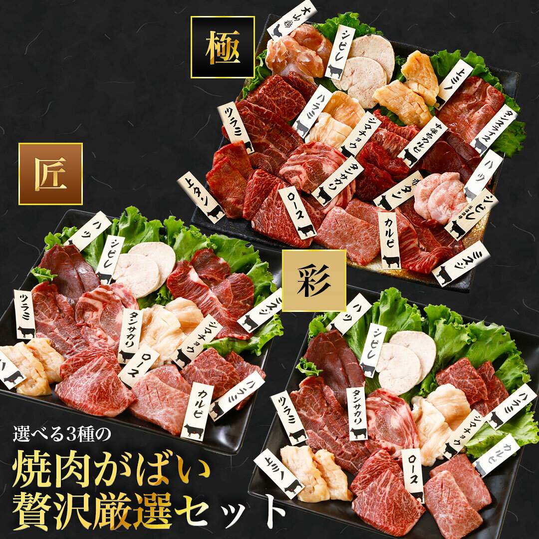 夏ギフト 焼肉セット 焼肉がばい贅沢厳選セット（冷凍）がばい 黒毛和牛 希少部位 牛肉 カルビ ロース ハラミ ミスジ ツラミ 牛 タン ホルモン シビレ シマチョウ 上ミノ ギフト BBQ お取り寄せ 焼肉 鶏肉 国産 高級 贈答 プレゼント 贈り物 詰め合わせ 食べ物 ギフト肉