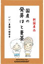 国産 発芽はと麦茶 5g×40包【ノンカ