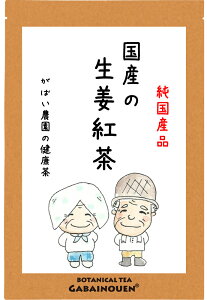 生姜紅茶 国産 3g×40包 送料無料 しょうが紅茶【生姜紅茶/しょうが紅茶/生姜紅茶 国産/生姜紅茶 送料無料/生姜紅茶 ティーバッグ/しょうが紅茶 国産/健康茶 ショウガ】