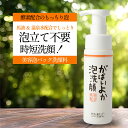 【SALE★20%OFF】がばいよか 泡洗顔 (200ml) / 洗顔 石けん 泡パック 馬油 馬油コスメ 酵素 配合 もっちり泡 泡立て不要 毛穴 黒ずみ 角栓 温泉水 コラーゲン ヒアルロン酸 プラセンタ セラミド レモングラスの香り 乾燥肌 敏感肌